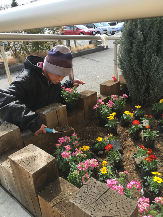 画像：花植え