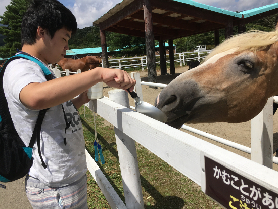 画像：～日帰り旅行～