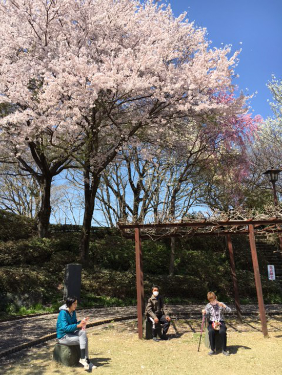 画像：～お花見～