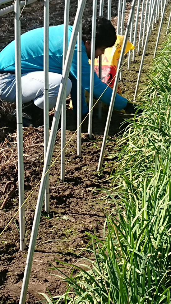 画像：～農福連携～