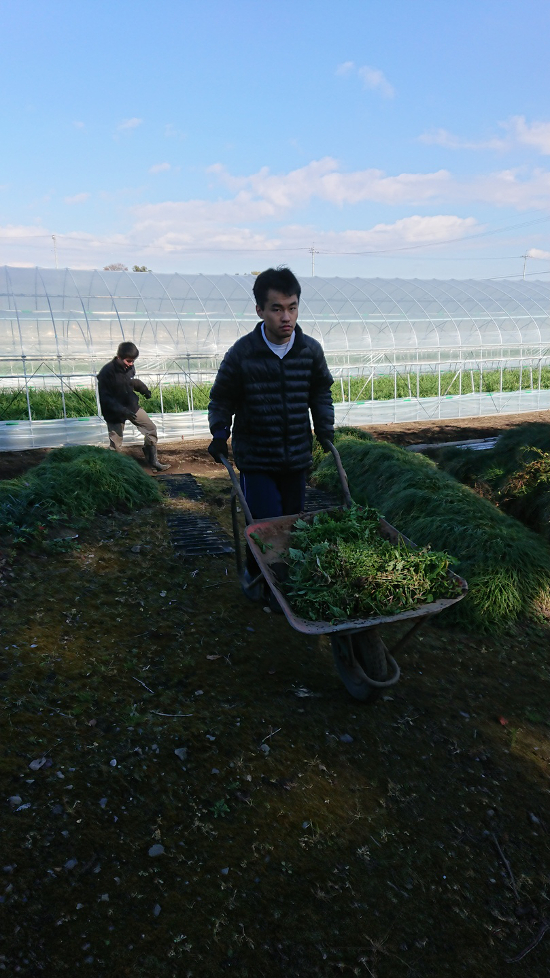 画像：～農福連携～