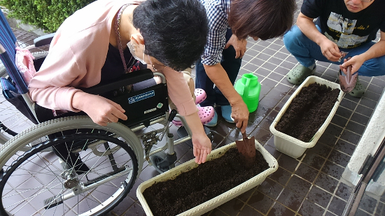 画像：～種蒔き～