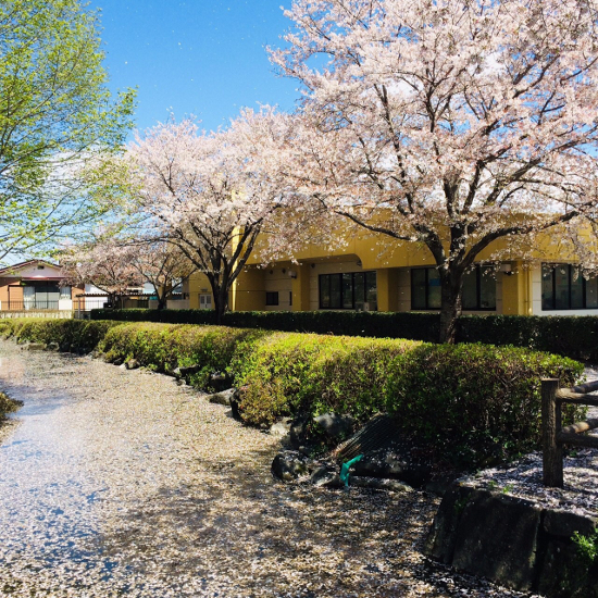 画像：～お花見～