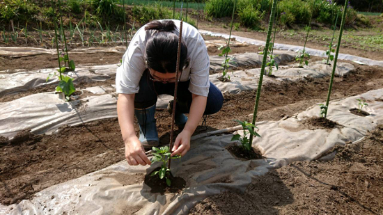 画像：～農作業～