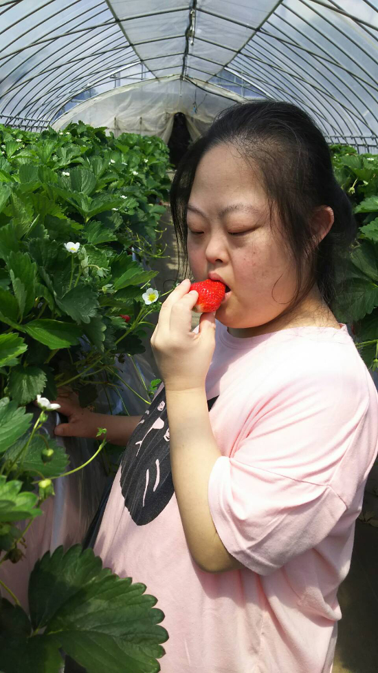 画像：～いちご狩り～