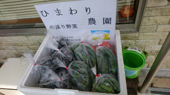 画像：～野菜コーナー～