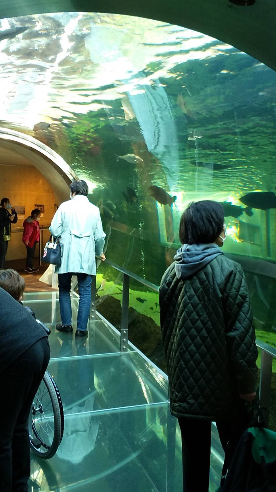 画像：～なかがわ水遊園～