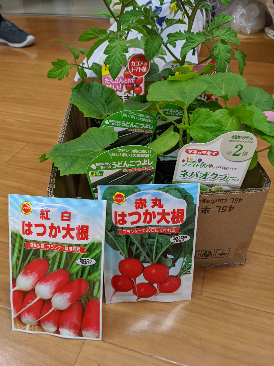 画像：～プランター菜園～