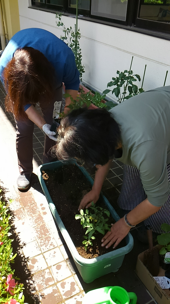 画像：～プランター菜園～